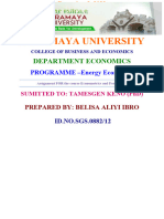 Belisa Aliyi - Assignments - For - Econometrics