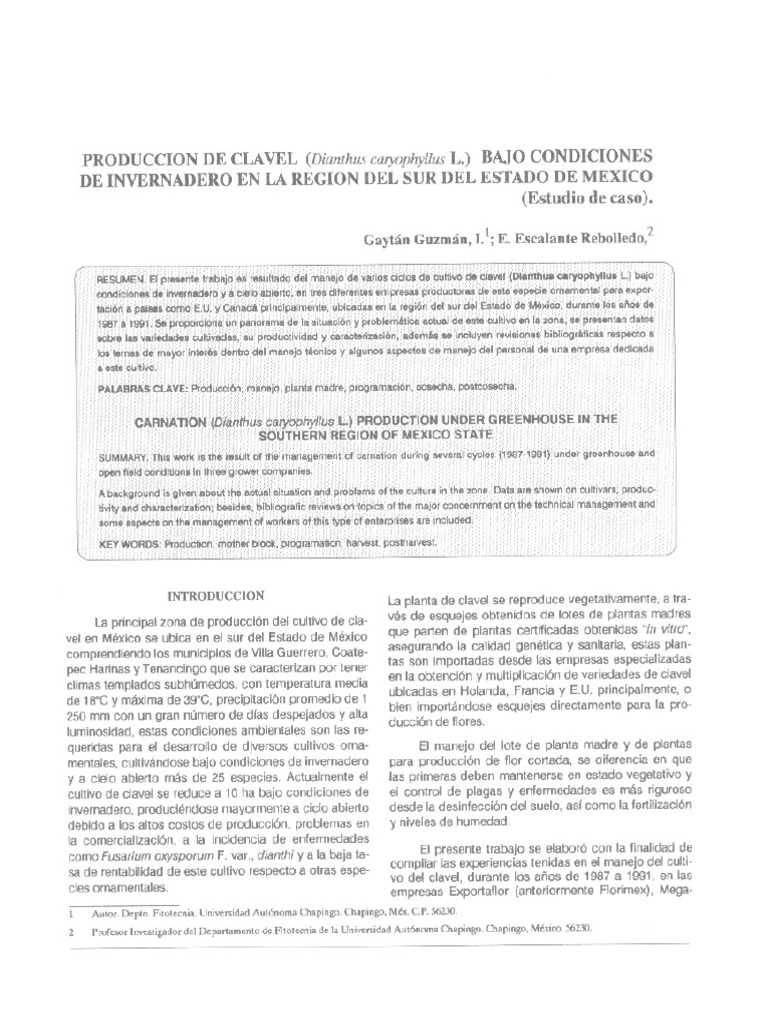 Produccion de Clavel Mexico | PDF