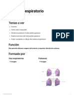 Sistema Respiratorio