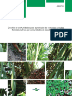 Desafios e Oportunidades para A Produção de Sementes e Mudas Florestais Nativas Por Comunidades Do Estado Do Amapá
