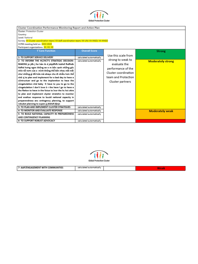 2023 CCPM Report Template and Action Plan Eng | PDF | Business | Computers