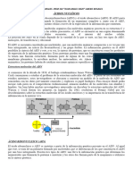 Ciencias Naturales