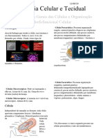 Características Gerais Das Células e Organização Morfofuncional Celular