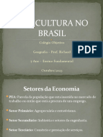 Aula 7 Ano - Agricultura No Brasil