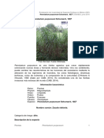 Pennisetum Purpureum - Pdf.crdownload