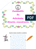 Cuadernillo Atención Concentración (20 Actividades)