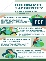 Infografia Cuidado Medio Ambiente Ilustrada Verde