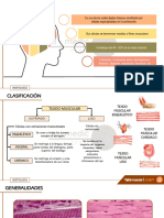 Tejido Muscular - Diapositivas