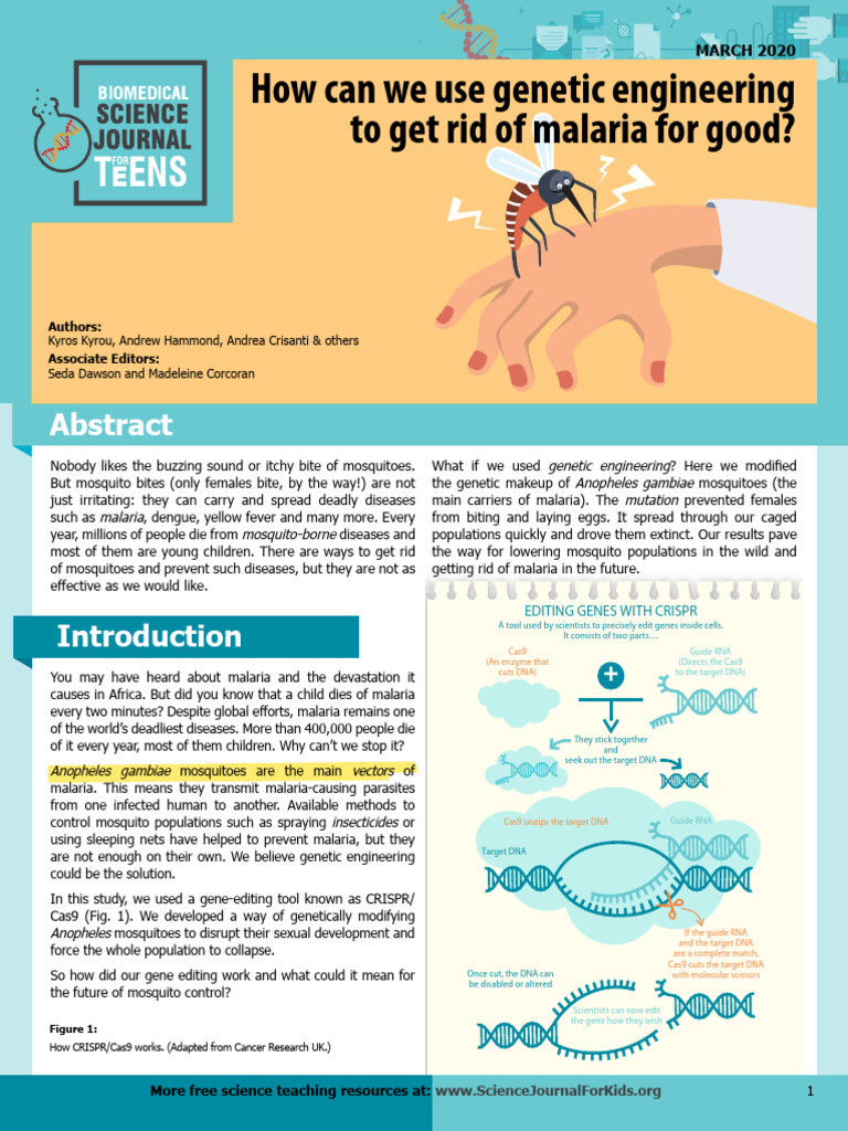 Genetic Engineering to Eliminate Malaria | PDF | Malaria | Gene