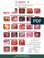 Cartel Atlas de Salud Ginecologica 2020 50x70cm (10)