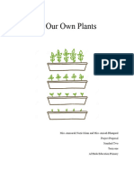 Standard 2 Term 1 Project - Growing Our Own Plants