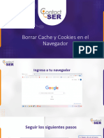 Borrado de Cookies y Datos de Navegacion