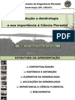 Introdução a Dendrologia UNIVERSIDADE DE BRASíLIA