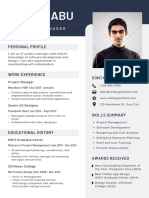 IT Project Manager Resume
