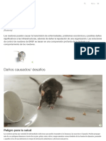 Control solutions for rodents_ BASF Pest Control