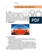 Clase 9.1 y 9.2 - Anatomía, Fisiología y Alteraciones Del Cristalino
