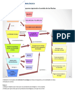 Actividad N°2 TN