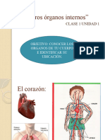 Clase 1 PPT Nuestros Óganos Internos Primera Semana Unidad 1 2021