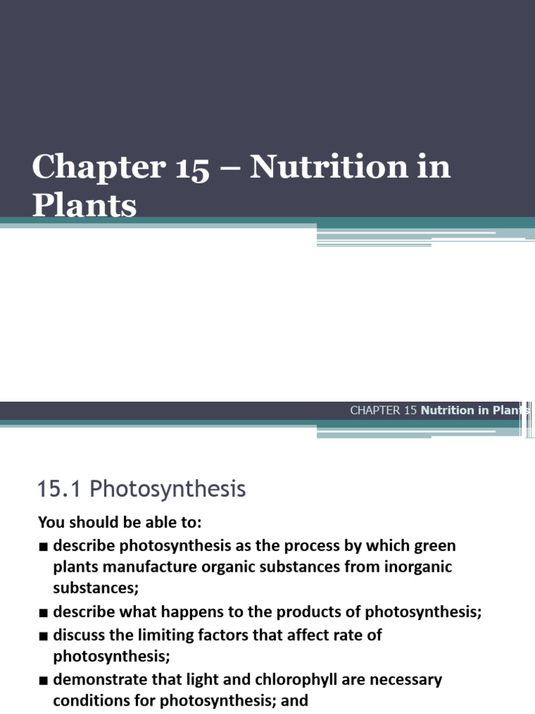 Chapter 15 - Nutrition in Plants | PDF | Stoma | Leaf