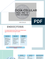 Jhon Cevallos Endocitosis y Exocitosis