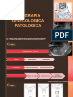 Ginecologia Ecografía Completo