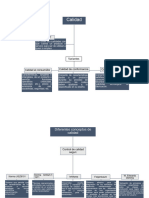 Mapa Conceptual Calidad