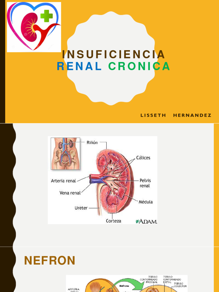 Ira - Irc | PDF | Riñón | Especialidades Medicas