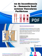 demencia-senil-y-vasculares-perifericas-fisioterapia-adulto-mayor (1) (3)