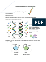 Acidos Nucleicos, Aminoacidos, Peptidos y Proteinas