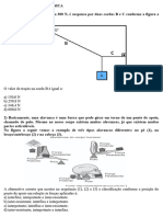 Lista de Exercícios Densidade