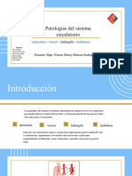 Patologías Del Sistema Circulatorio