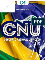 Caderno Mapeado - CNU - Diversidade e Inclusão Na Sociedade