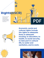 Economic, Social and Cultural Rights