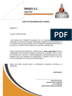 Carta de Recomendacion Laboral Seguridad