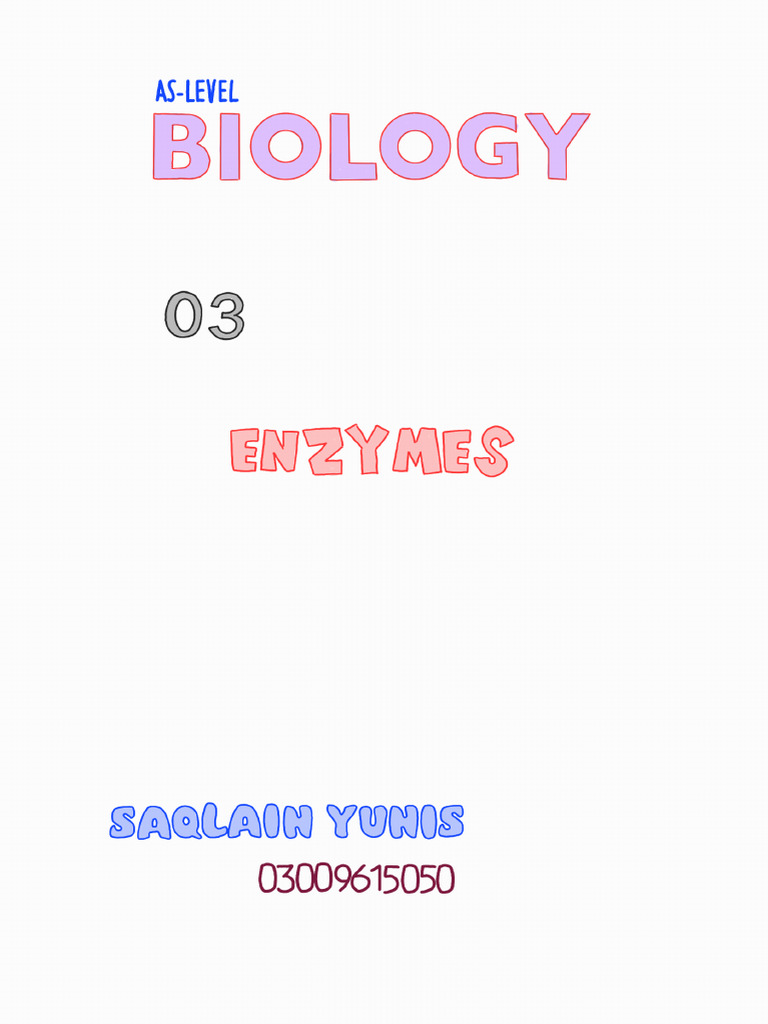 Chapter 3 Enzymes | PDF