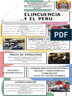 Infografía Delincuencia CC - Ss