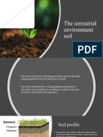 terrestrial environment (soil)