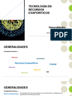 3 TECNOLOGÍA EN RECURSOS EVAPORITICOS - Generalidades