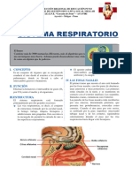 Sistema Respiratorio 2