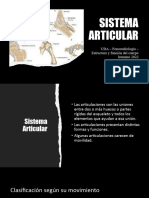 Sistema Articular Generalidades