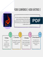 Como Se Produce El Acido Gástrico - Ácido Clorhídrico