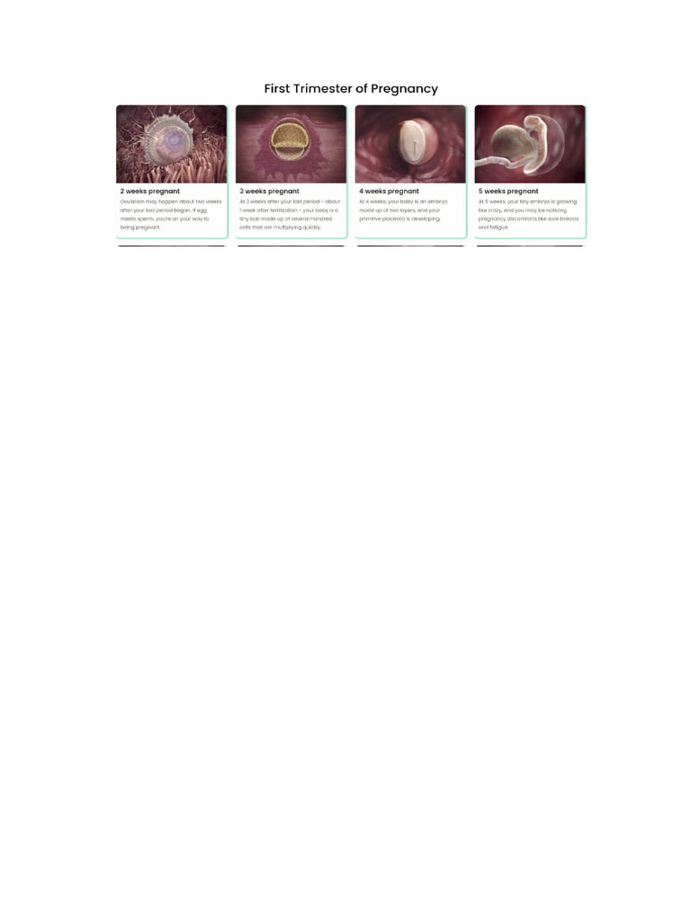First Trimester Pregnancy | PDF