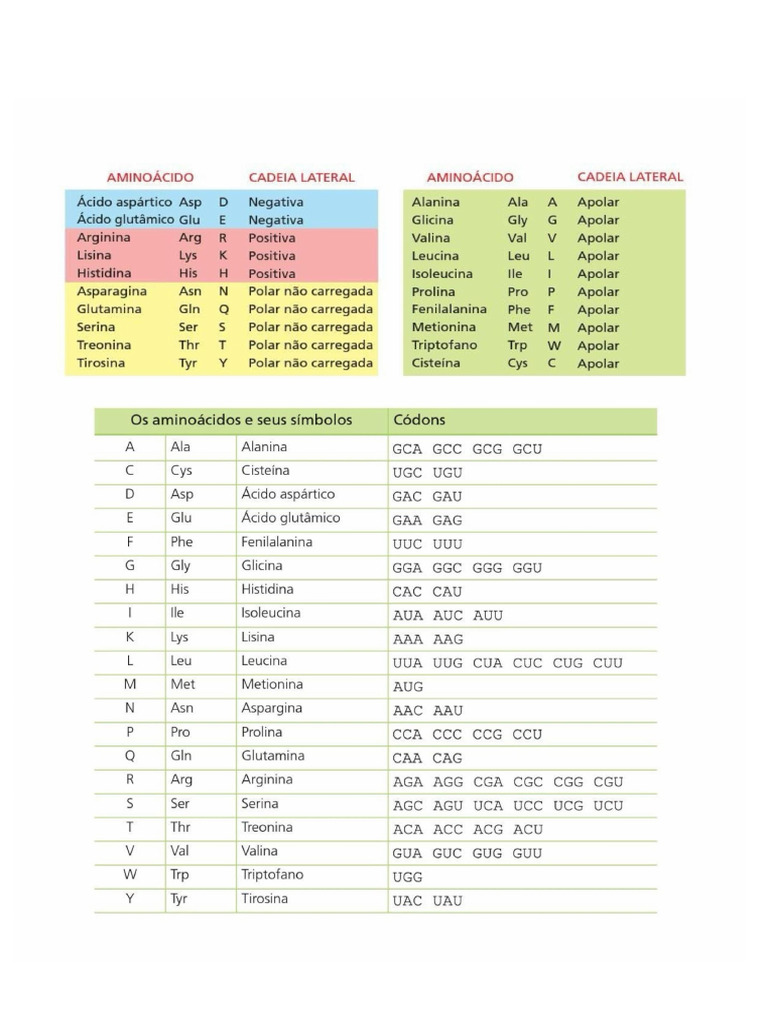 Tabela de Aminoácidos e Codons | PDF