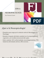 Introducción A La Neuropsicología
