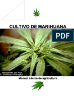 Manual Basico de Cultivo de Marihuana