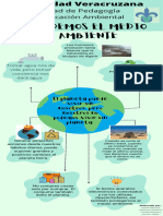 Infografía Cuidado Del Medio Ambiente Moderno Verde