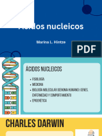 Ácidos Nucleicos