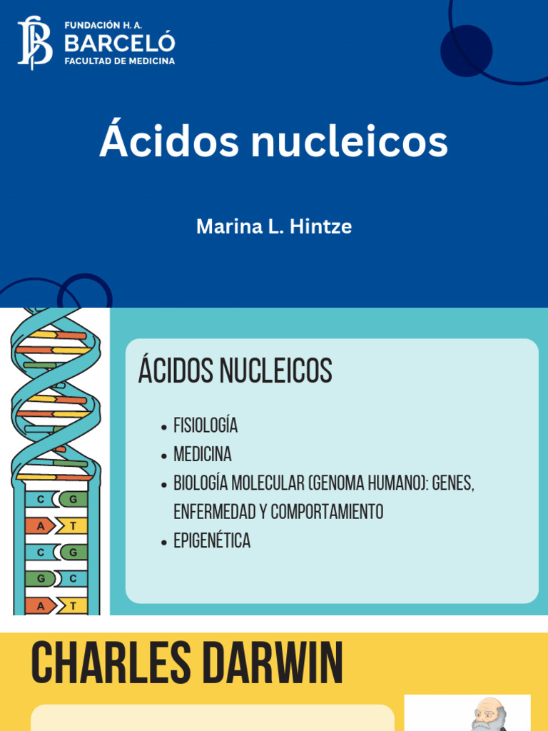 Estructura y Función del ADN y ARN | PDF | Rna | Ácidos nucleicos