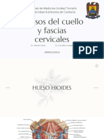 Huesos del cuello y fascias cervicales