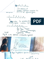 Operon Concept